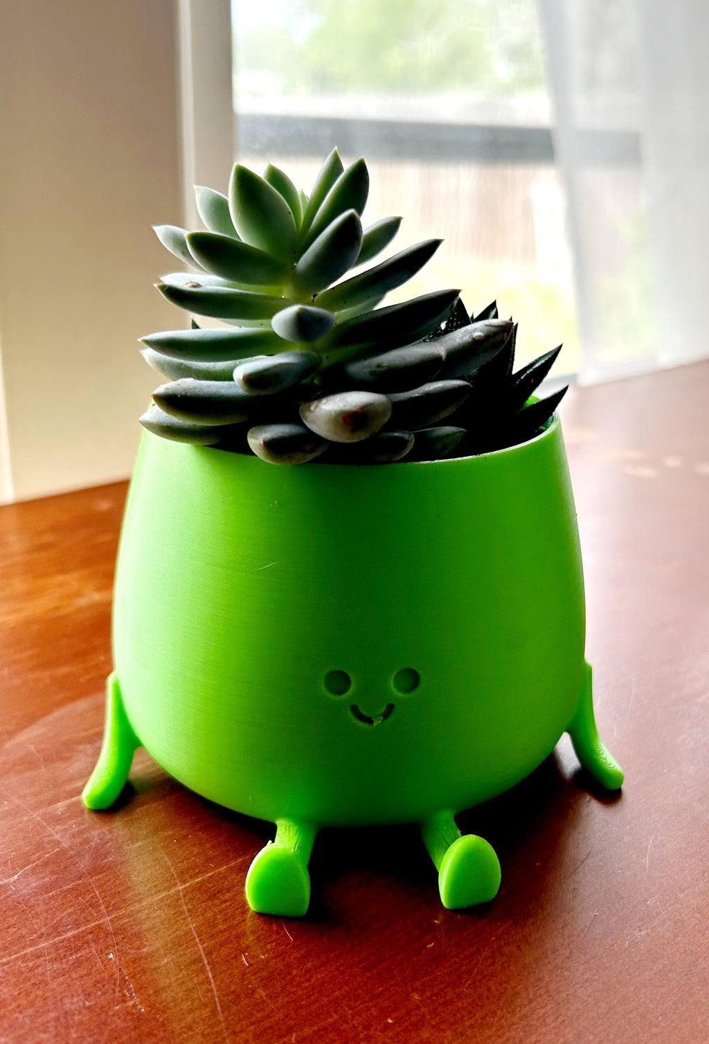 Green Happy Face Plant Pot with Succulents