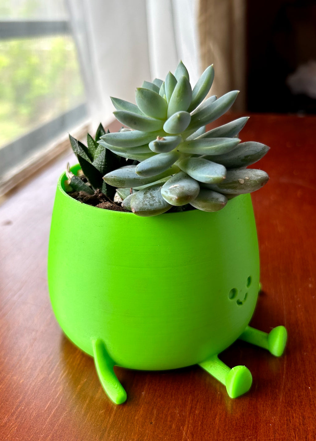 Green Happy Face Plant Pot with Succulents