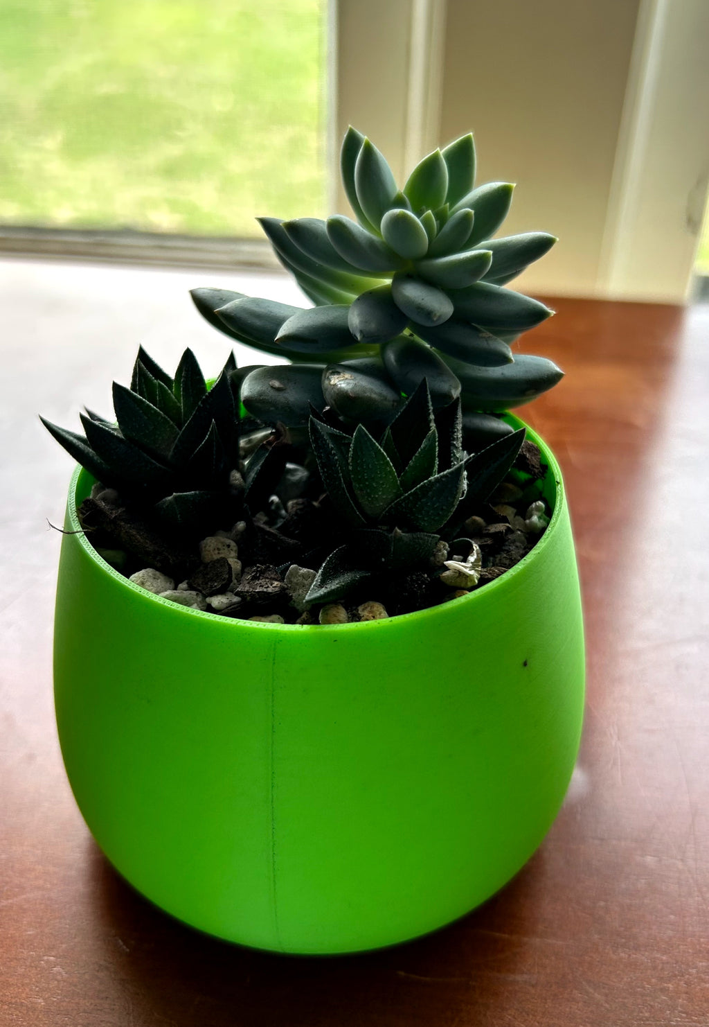 Green Happy Face Plant Pot with Succulents