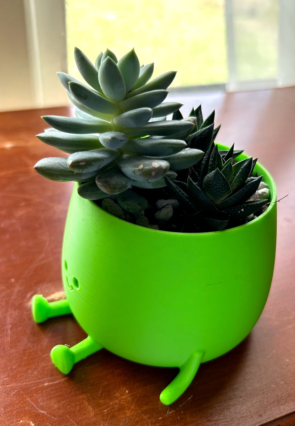 Green Happy Face Plant Pot with Succulents