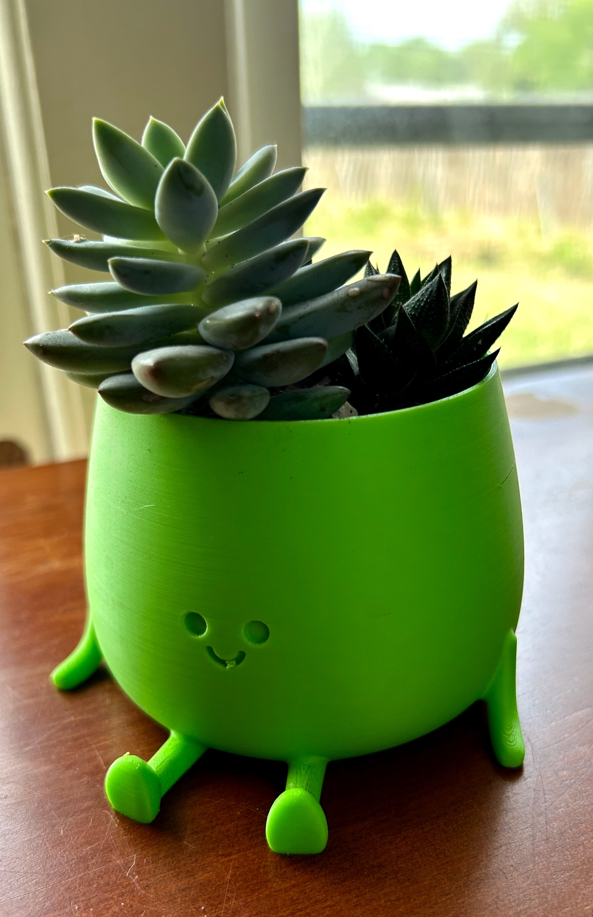 Green Happy Face Plant Pot with Succulents