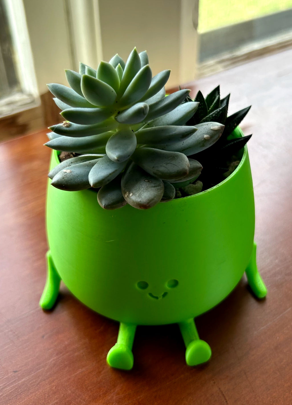 Green Happy Face Plant Pot with Succulents