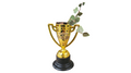 Trophy Dad Gift with String of Arrows