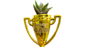 Trophy Dad Gift with Tiger Tooth Succulent